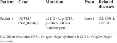 Case Report: Three novel pathogenic ABCC2 mutations identified in two patients with Dubin–Johnson syndrome